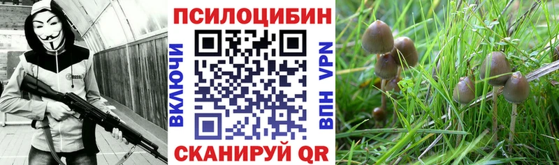 Купить закладки Новый Оскол Галлюциногенные грибы мицелий